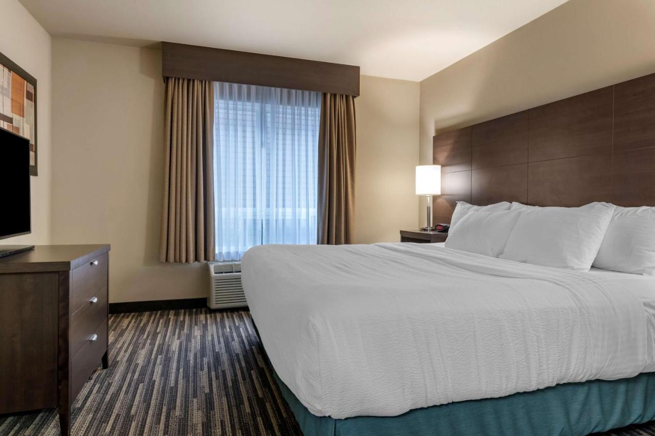 Best Western Plus Dartmouth Hotel & Suites Esterno foto
